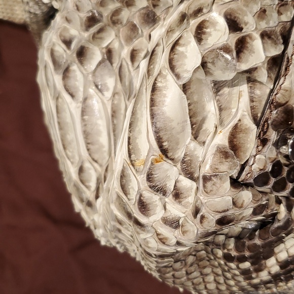 Michael Kors Collection real python Rehearsal bag - Picture 7 of 14